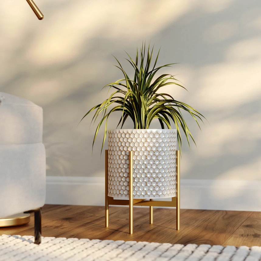 Potted snake plant on a gold stand.